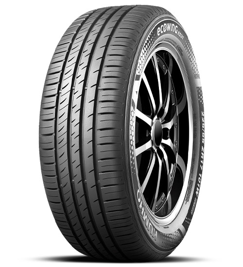 Ecowing ES31